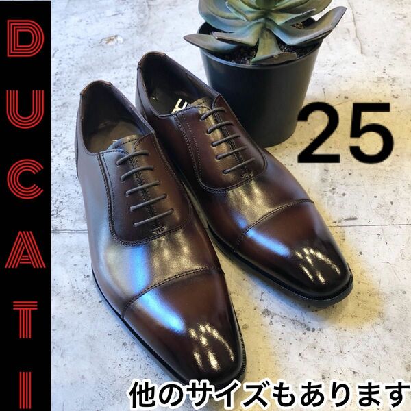 ANTONIO DUCATI 1640 メンズ　革靴　ビジネスシューズ　茶 25 メンズ革靴