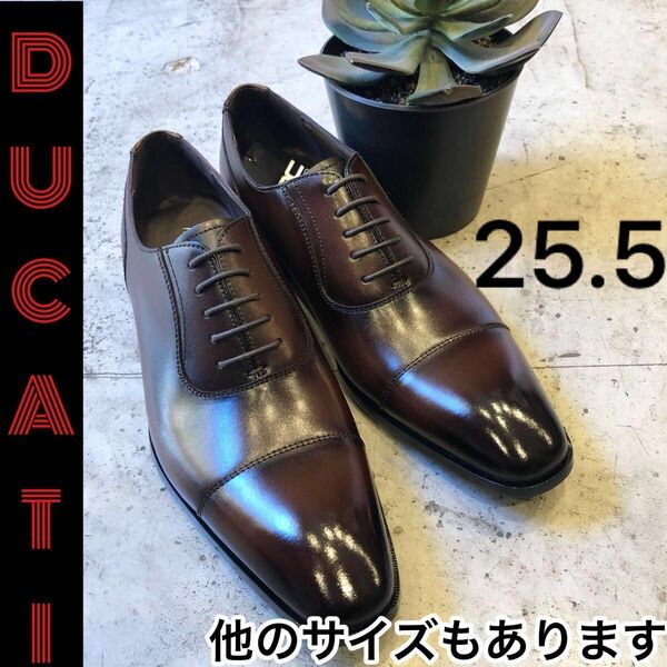 ANTONIO DUCATI 1640 メンズ　革靴　ビジネスシューズ　茶255 メンズ革靴