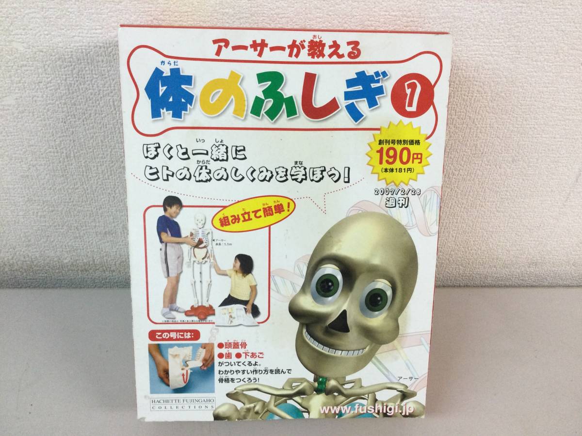 2025年最新】Yahoo!オークション -体のふしぎ アーサーの中古品 2025年最新】Yahoo!オークション -体のふしぎ アーサーの中古品