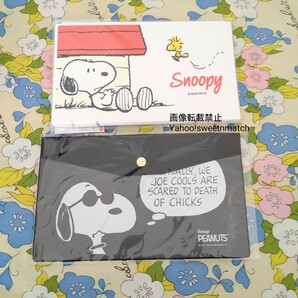 スヌーピー SNOOPY 抗菌加工 抗菌仕様 マスクケース 2個セット 新品 未使用 ピーナッツ