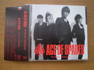 ACE OF SPADES/WILD TRIBE 帯付き CD+DVD