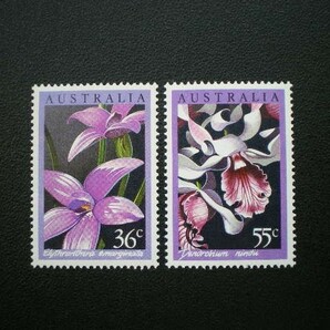 オーストラリア連邦発行 テリミトラ・ヴァリエガタなどラン科の植物切手 ４種完 ＮＨ 未使用の画像2