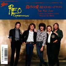 REO Speedwagon 「That Ain't Love/ Accidents Can Happen」国内盤EPレコード_画像1