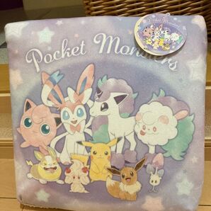 20時まで限定価格 ポケモン 学童クッション ポケットモンスター 新品
