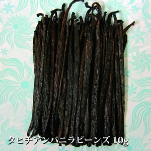 [ fragrance . gloss. high quality vanilla!] Tahiti vanilla beans 10g / approximately 2-4ps.