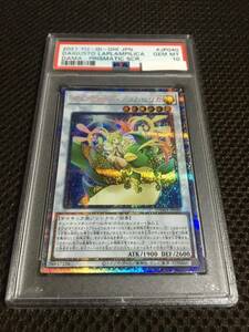 遊戯王 PSA10 現存28枚 ダイガスタ・ラプラムピリカ プリズマティックシークレット