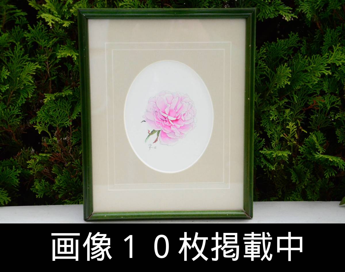 Fumiko Sugisaki Old Rose Watercolor Framed Botanical Art Botanical Painting Hand-painted Guaranteed to be Authentic 27cm x 22cm 10 images, Painting, watercolor, Nature, Landscape painting