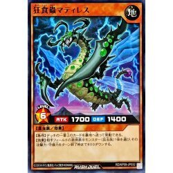 ☆中古☆遊戯王ラッシュデュエル　狂食蟲マティレス　RD/KP09・ノーマル・1枚