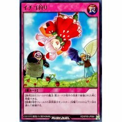 ☆中古☆遊戯王ラッシュデュエル　イチゴ狩り　RD/KP09・ノーマル・1枚