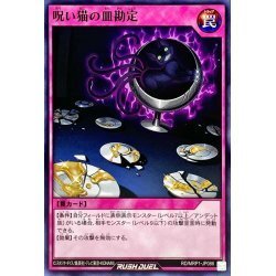 ☆中古☆遊戯王ラッシュデュエル　呪い猫の皿勘定　RD/MRP1・ノーマル・1枚