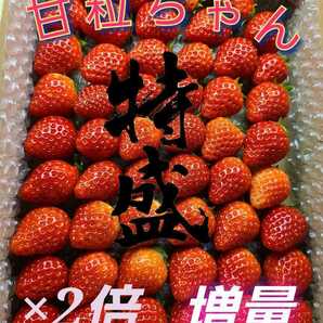 増量2倍★ビックセール開催★3つ星《絶賛ミニ甘ちゃん》超大盛★農家直送～新鮮!☆佐賀のいちご★もも、リンゴ、ブドウ好きな方にも♪の画像1