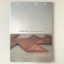 若江漢字 : 時の光の下に ＜今日の作家 9(山口由里子・若江漢字展)＞ 神奈川県立近代美術館_画像1