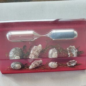 砂時計 貝細工の1分