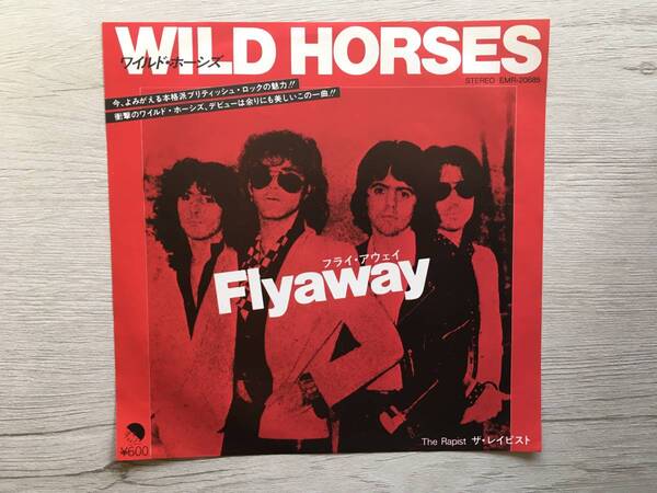 WILD HORSES FLY AWAY