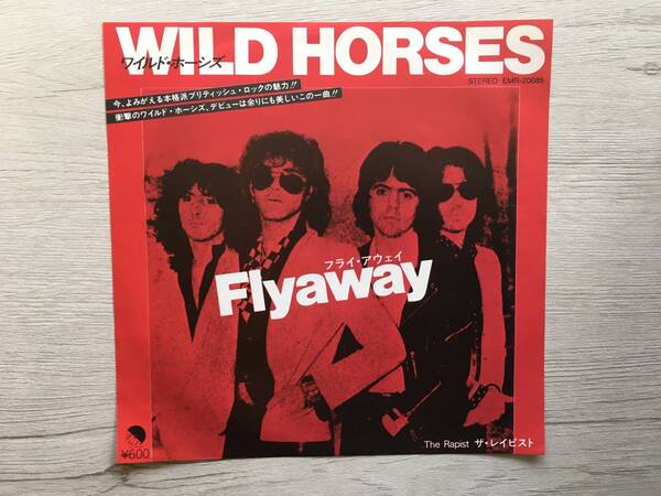 WILD HORSES FLY AWAY 