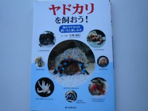 ※ヤドカリを飼おう！　誠文堂新光社