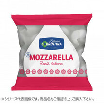 ラッテリーア ソッレンティーナ 冷凍 牛乳モッツァレッラ ひとくちサイズ 250g 16袋セット 2035_画像1