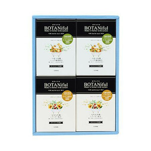 五洲薬品 入浴用化粧品 ボタニフルバスソルト ギフト BOT-G24 ((35g×4包)×4箱)×12セット