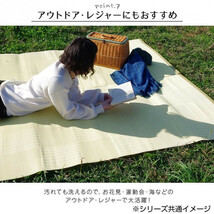 日本製 抗菌 防臭 消臭 洗えるカーペット アイボリー 江戸間3畳(約174×261cm) 2129003_画像8