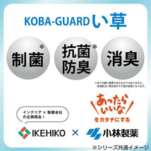 KOBA-GUARD 制菌 抗菌防臭 消臭 い草 ゆったりクッション 約40×30×20cm オレンジ 7559449_画像3