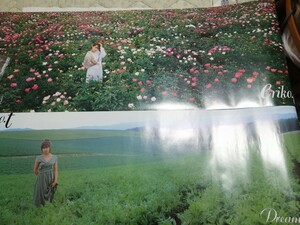  Tamura Eriko постер покупка привилегия 2 листов 