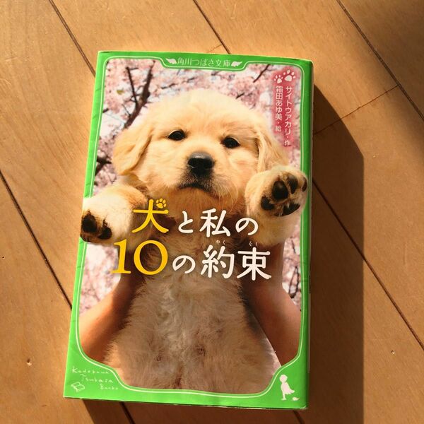 犬と私の１０の約束 （角川つばさ文庫　Ｂさ１－１） サイトウアカリ／作　霜田あゆ美／絵