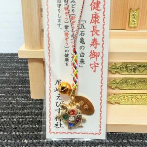 【五石亀】おじいちゃんおばあちゃんの健康・御長寿祈願に　尼崎えびす神社