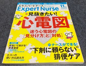 エキスパートナース　2冊セット