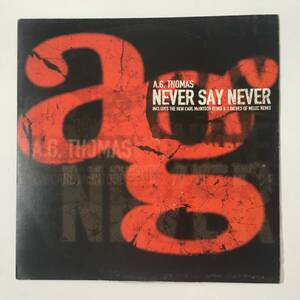 230121●A.G. Thomas - Never Say Never/12RHY 1001/1995年 Instrumental/12inch LP アナログ盤