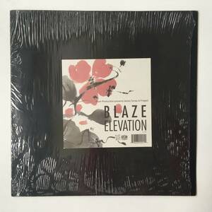 230122●Blaze Production Presents James Toney Jr. Project - Elevation/LL-1014/Deep House/12inch LP アナログ盤