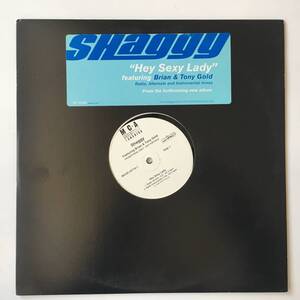 2324●Shaggy Featuring Brian & Tony Gold Hey Sexy Lady/MCAR 25716-1/Dancehall/Instrumental/12inch LP アナログ盤