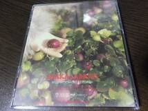 SHAKALABBITS - MUSHROOMCAT RECORD 2枚組 / BRACKISH　(DVD欠品) / CLUTCH / MONSTER TREE CD 4枚セット_画像4