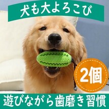 安心の匿名配送　お得な２個セット【世界で大ヒット】犬の歯磨き　おもちゃ　知育グッズ　犬のストレス発散　しつけ　デンタルケア　A２_画像1