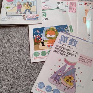 小学6年生ポピー12月