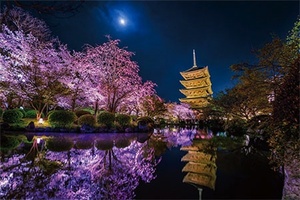 KAGAYA・天空物語・1000ピース・光るパズル「月夜に咲く （京都）」新品