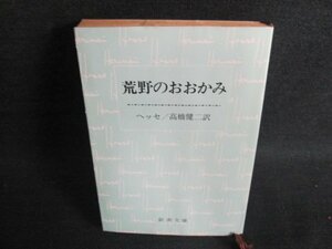 荒野のおおかみ　ヘッセ　日焼け強/IDE