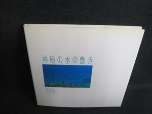 神秘の水中散歩　いつか行く旅7　日焼け有/IFN