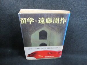 留学　遠藤周作　シミ日焼け強/IFQ