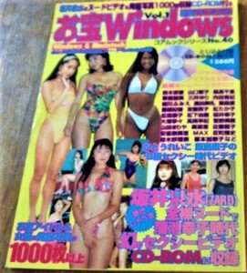 お宝Windows Vol.1　坂井泉水　ZARD　細川ふみえ森高千里鈴木京香かとうれいこ内田有紀黒田美礼山口智子三井ゆり雛形あきこ★CD-ROM付 古書