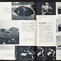 本 雑誌 「ポピュラサイエンス 日本語版別冊 写真篇 (写真編) 1955年4月刊」 ワールドサイエンス_画像7