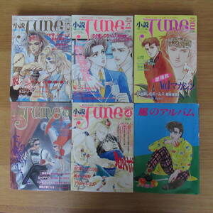 【レア】 小説June ジュネ 月刊 おまとめ 5冊 セット 1990・91年 サン出版 おまけ付 風のアルバム 古書 雑誌 レトロ 希少 現状販売品