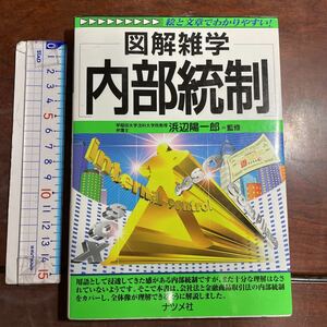 内部統制 （図解雑学－絵と文章でわかりやすい！－） 浜辺陽一郎／監修