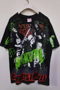 90's PANTERA COWBOYS FROM HELL Vintage Hanes Tee size L USA製 パンテラ Tシャツ WINTERLAND