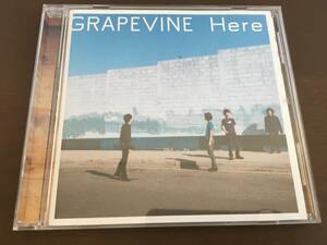 CD/GRAPEVINE　Here　グレイプバイン/【J3】 /中古