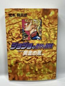 文庫版　ジョジョの奇妙な冒険　30巻　荒木飛呂彦　コミック