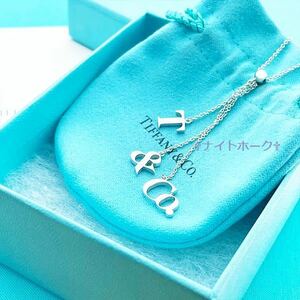  Tiffany T&CO charm necklace 