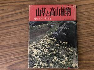 昭和レトロ　山草と高山植物 楽しみ方作り方 畦地梅太郎 　/A102