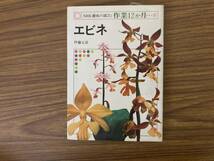 NHK趣味の園芸　作業12か月　エビネ　伊藤五彦　/A102_画像1