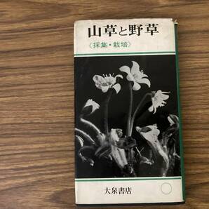 山草と野草/採集・栽培 堀江聡男 大泉書店 /A102の画像1