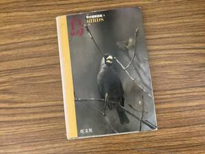  bird field field guide 5|. writing company /R2